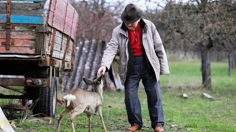 Prostate Health — BPH vs Cancer Awareness Illustration